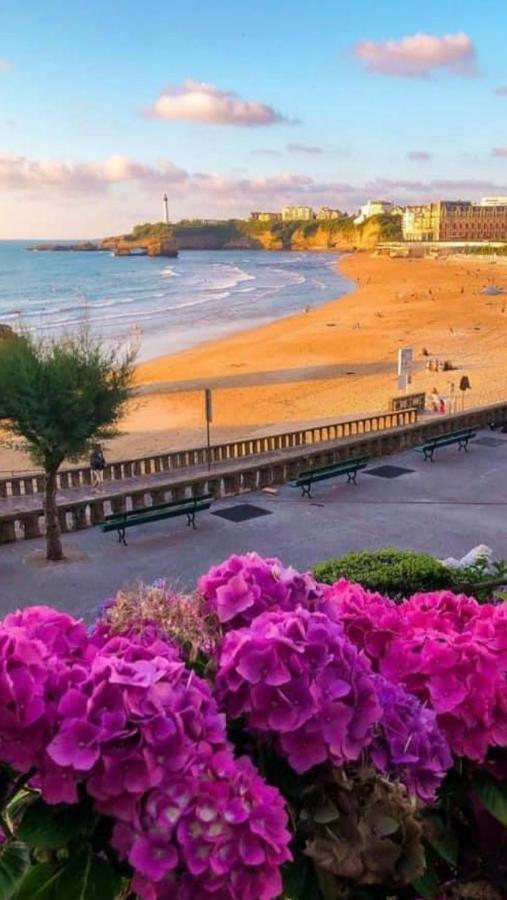 Residence La Croisiere- Appt Duplex 6 Personnes Anglet Eksteriør bilde